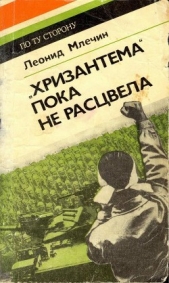 «Хризантема» пока не расцвела