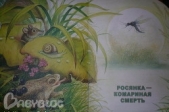 Росянка - Комариная Смерть