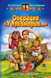 Операция «У Лукоморья»