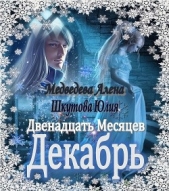 Двенадцать Месяцев. Декабрь (СИ)