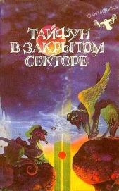 Тайфун в закрытом секторе (сборник)