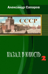 Назад в юность 2 (СИ)